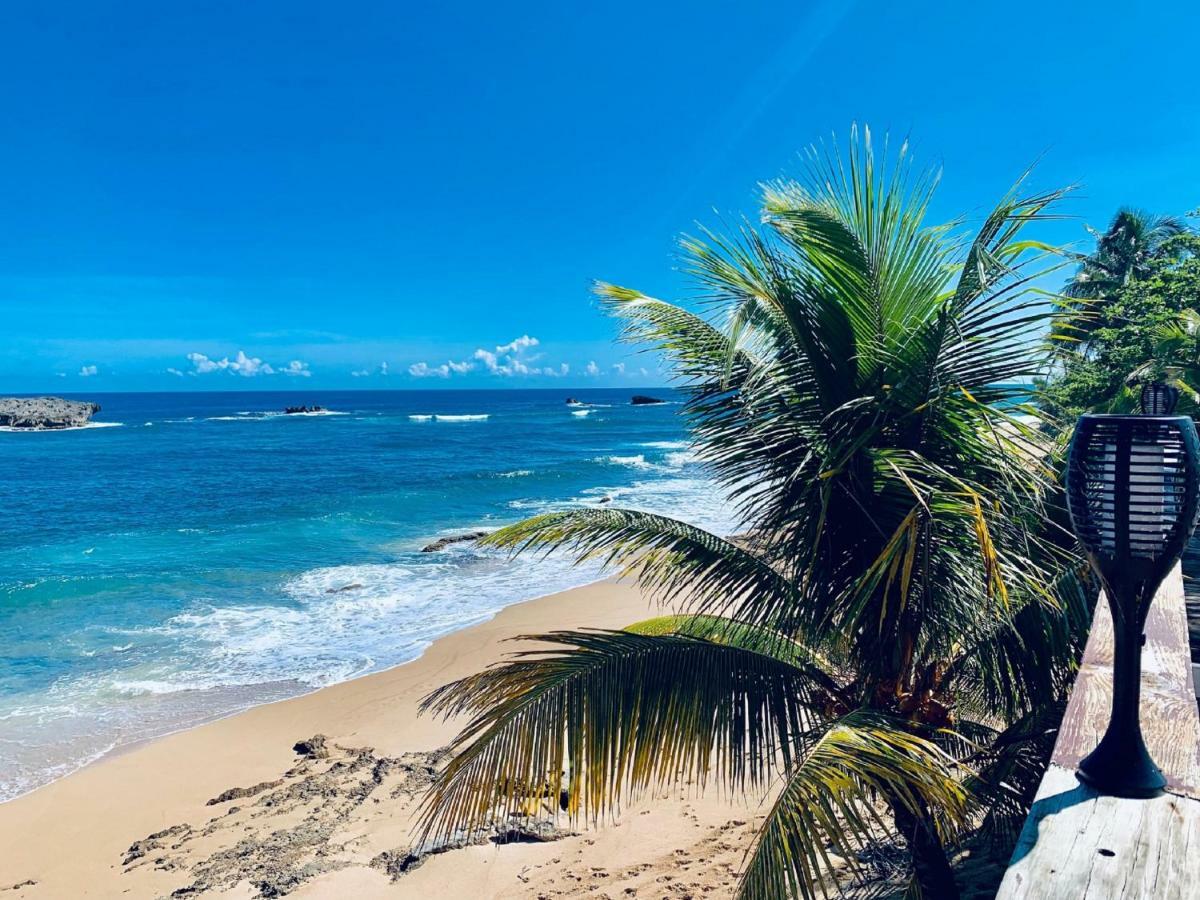 Islote Ventana Al Atlantico At Arecibo 681 Ocean Drive 아파트 외부 사진